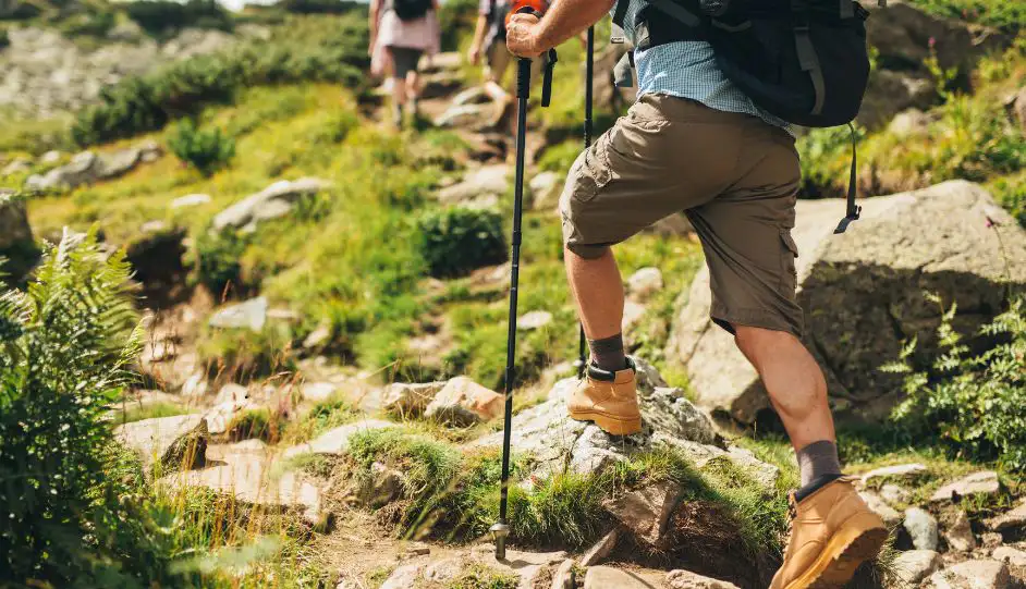 Wanderer mit Wanderstock und Rucksack steigt felsigen Bergpfad hinauf, Gruppe im Hintergrund, sommerliche Alpenlandschaft